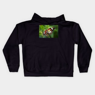 Orchard Swallowtail Butterfly Kids Hoodie